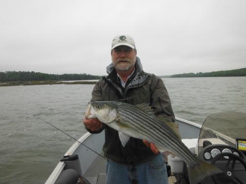 Maine Striper Fishing