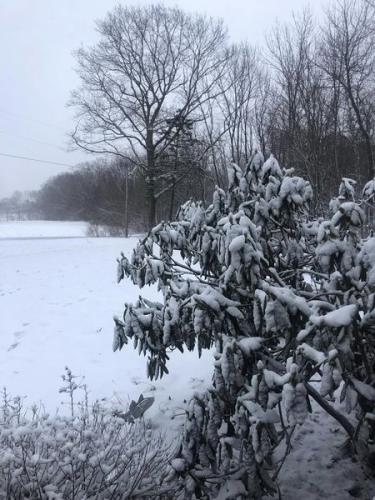 Spring Snow in Maine