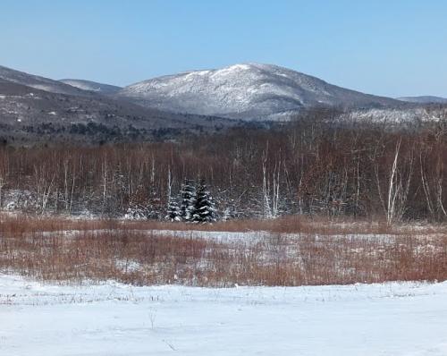 View From Beech Hill Rockport Maine