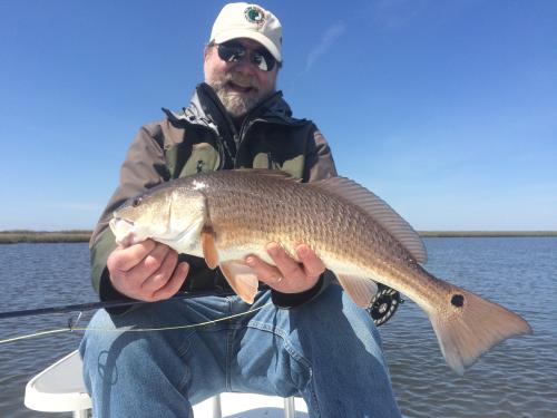 Don Louisana redfish